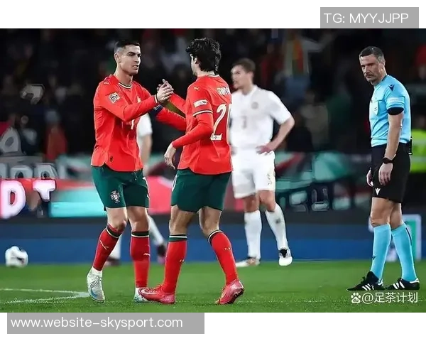 央视直播葡萄牙对阵匈牙利精彩赛事分析与赛后点评